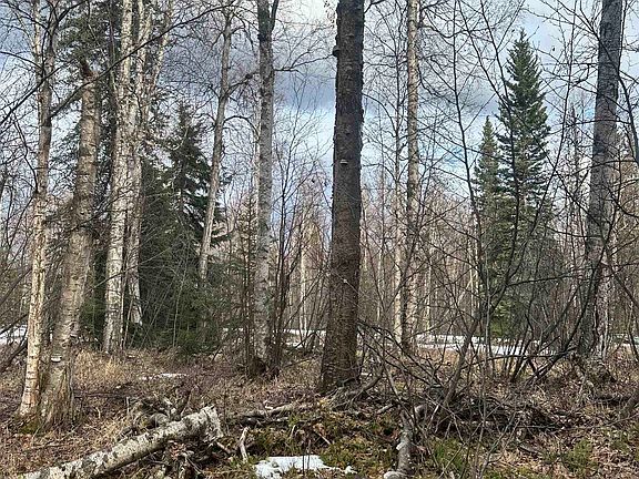 2nd image of Nhn Peregrine Ridge Rd