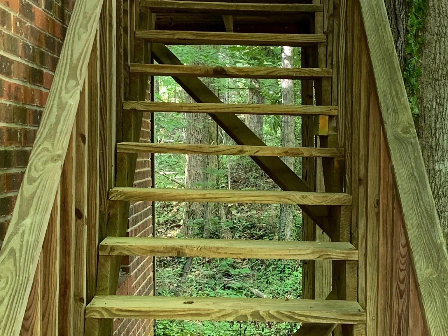 1 bed, 450 sqft, $925 — Photo 3