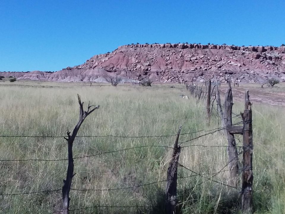 1st image of LOT 317 Carrizo Rnch Lot 317