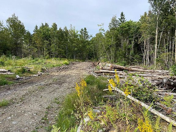 3rd image of Lot128C Love Lake Road