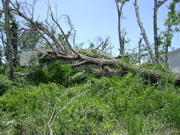 2nd image of 6730 Blue Gill Dr