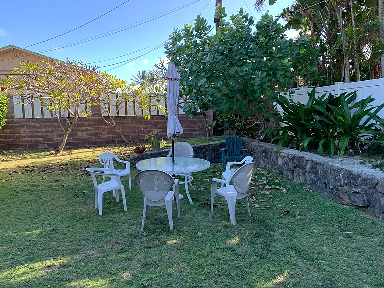back yard