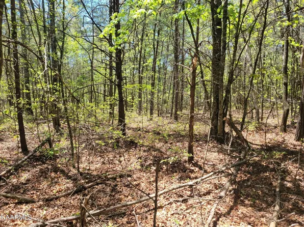 0 Old Collins Tpke Lot 24, Deer Lodge, TN 37726