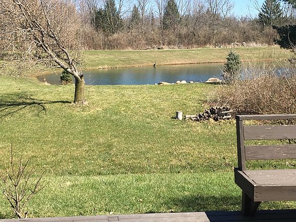 Gorgeous wooded pond