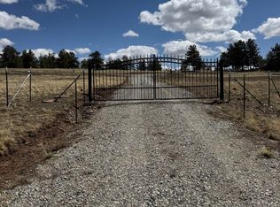 2841 Singletree Rd, Hartsel, CO 80449