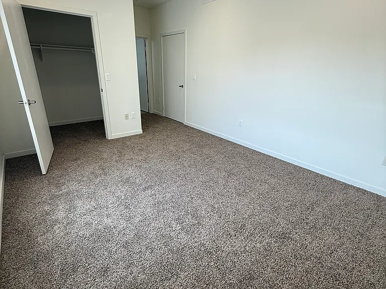 Master bedroom with walk-in closet