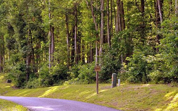 4th image of 419 River Gorge Dr