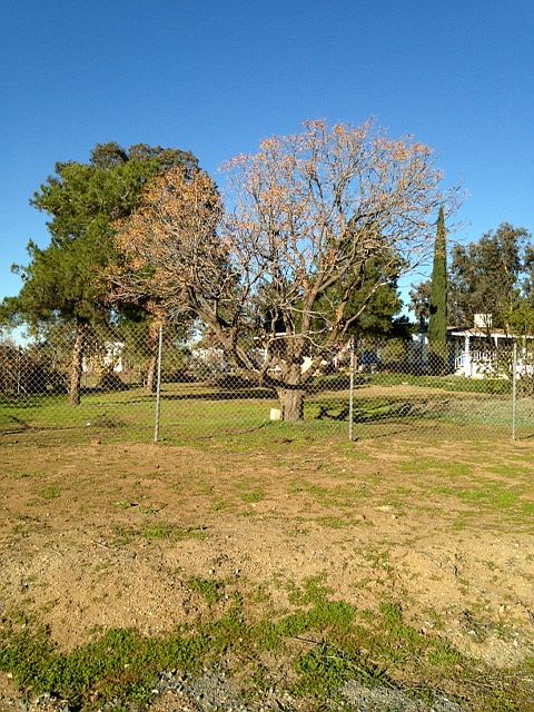 1st image of 32672 Shrimp Ln