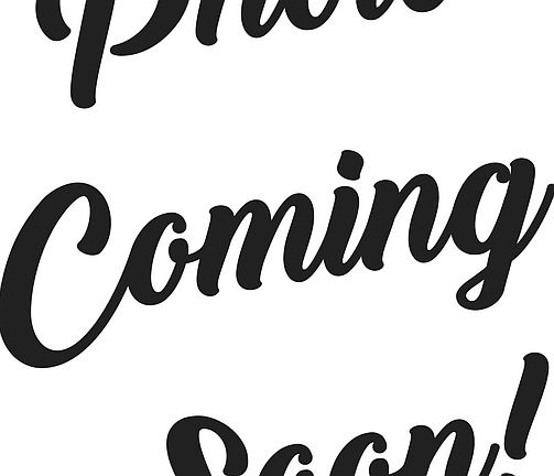 2nd image of 413 Springdale St