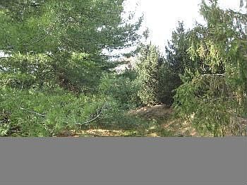4th image of 12391 Creekwood Ln