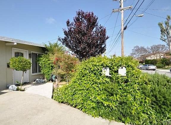 Jasmine covered mailboxes