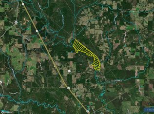 Old Highway 49 LOT WP002, Seminary, MS 39479