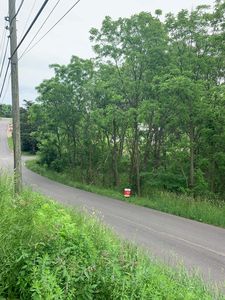 Bridge St, Galena, IL, 61036