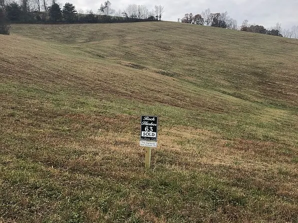 Smokey Quartz Blvd, New Tazewell, TN 37825