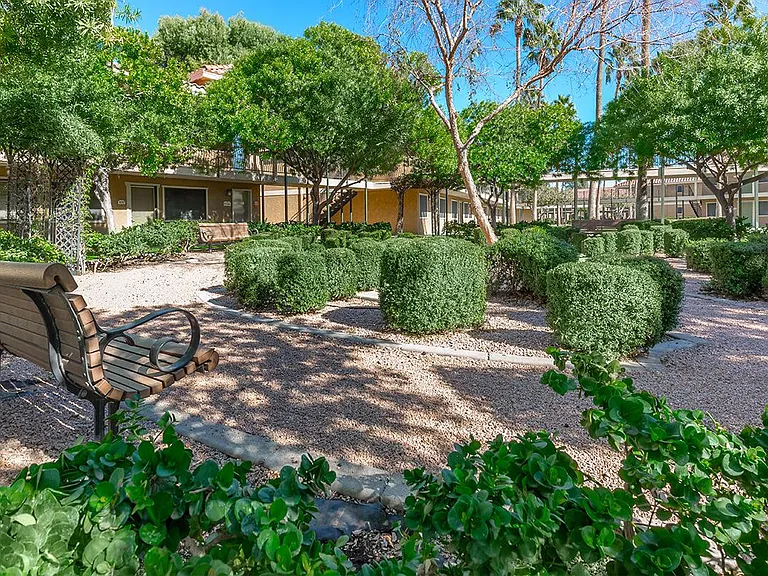 Mesa Royale 55+ Active Community — Photo 2