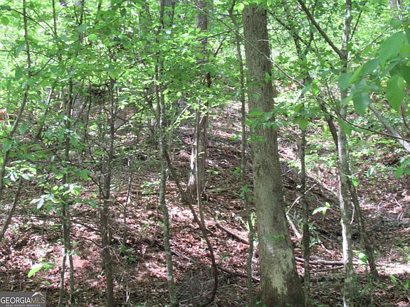4th image of 0 Chestatee Spgs