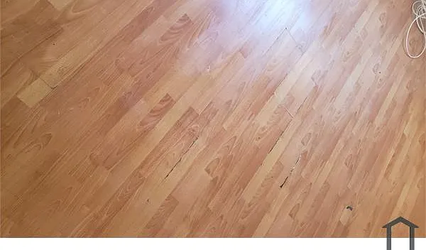 736 1/2 W Century Blvd — Photo 6