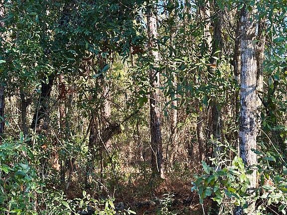 5th image of 00 NE 899th St