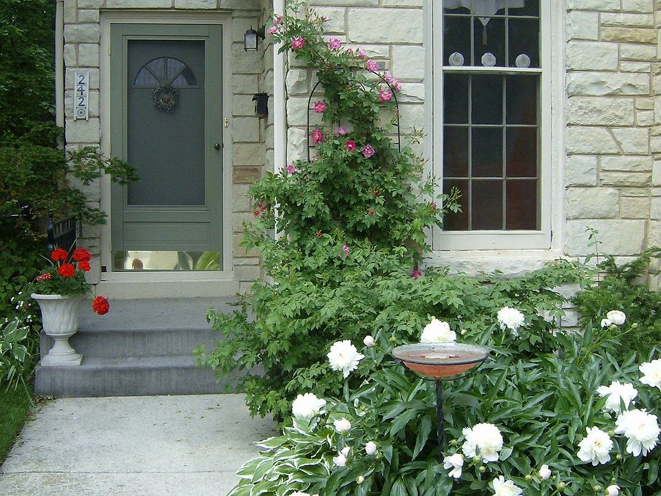 front entryway/perennial garden