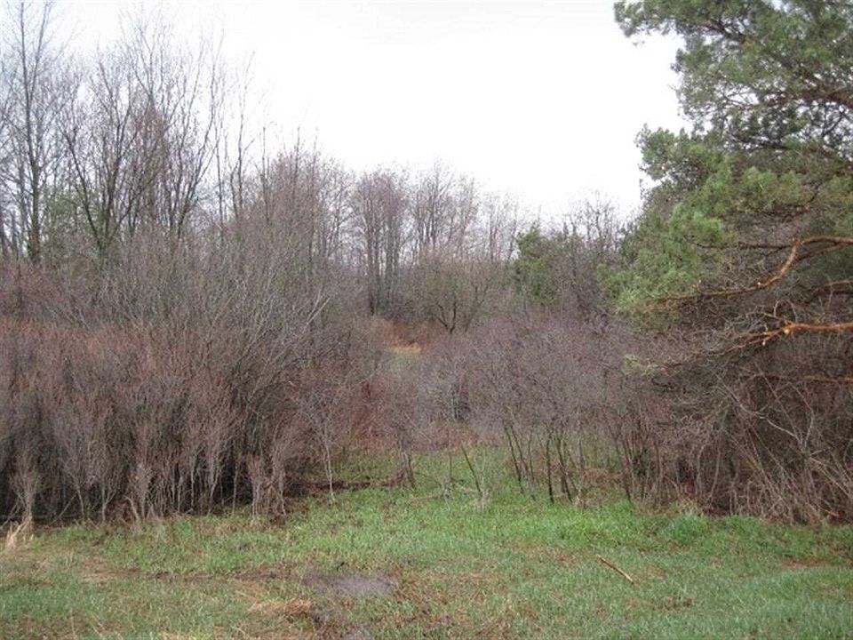 1st image of 165 Avenue