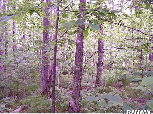 3rd image of Lot 66 N Lake Winter Road