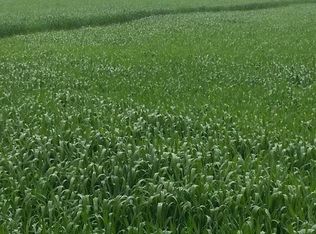 1580 Cave Spring Rd, Owens Cross Roads, AL 35763