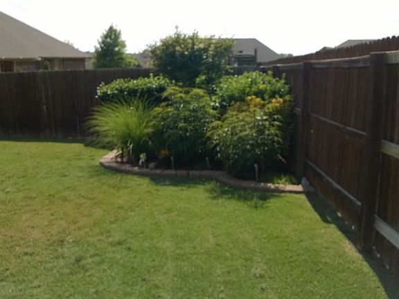 Backyard corner landscape
