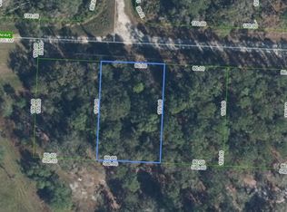 3110 Salem Ave, Lake Placid, FL 33852