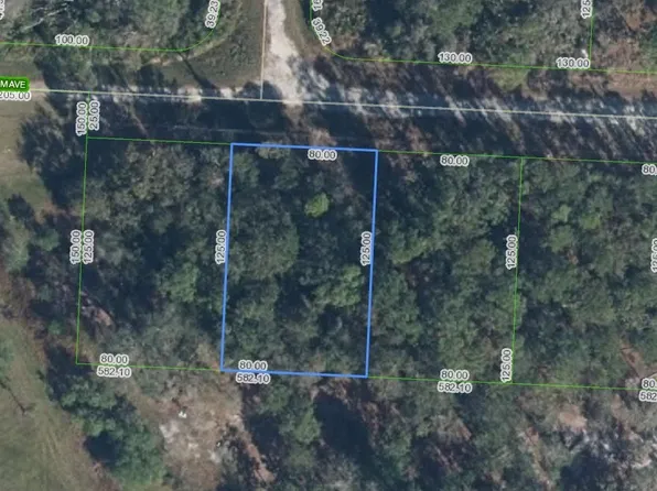 3110 Salem Ave, Lake Placid, FL 33852