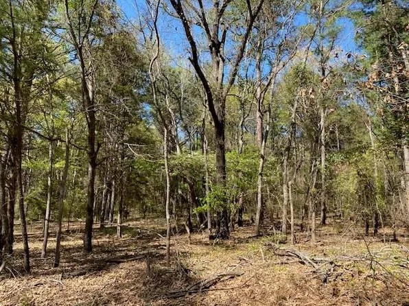 Armadillo Dr, Murchison, TX 75778