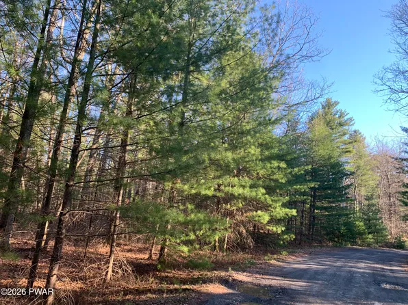 Center Rd, Dingmans Ferry, PA 18328