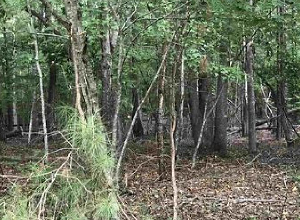 2nd image of 263 Cedar Rock Rd