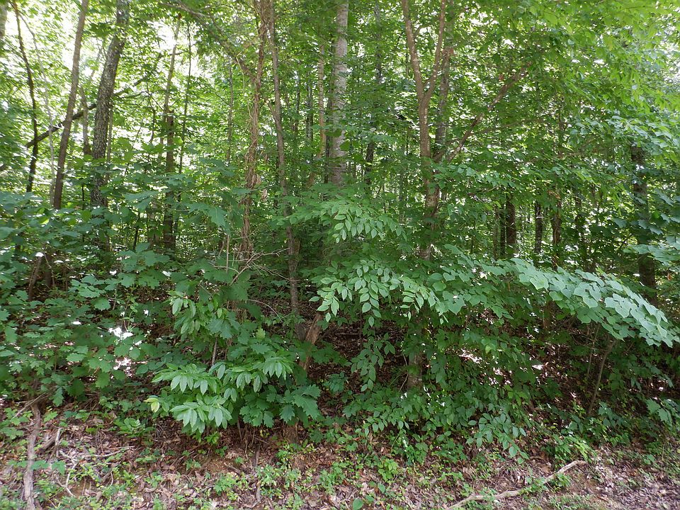 1st image of N Sequoyah Dr
