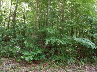 N Sequoyah Dr, Friendsville, TN 37737