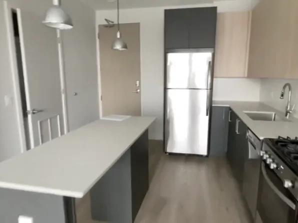 1157 W Erie St #305, Chicago, IL 60642