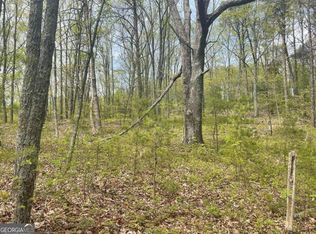 0 Finale St #1895, Talking Rock, GA 30175