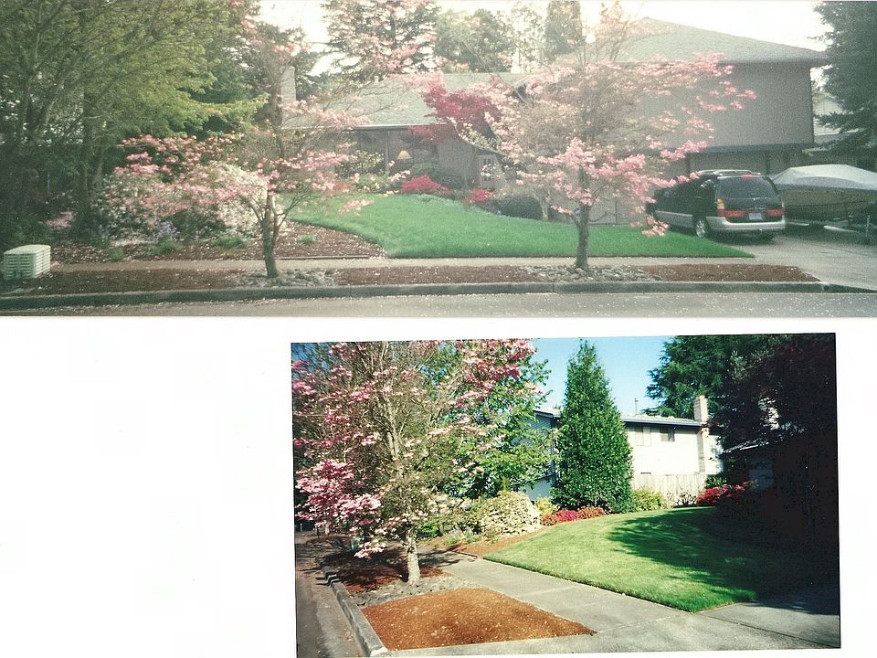 Front Yard - In Bloom