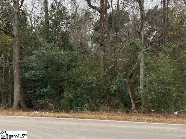 0 Governor Richardson Rd, Summerton, SC 29148