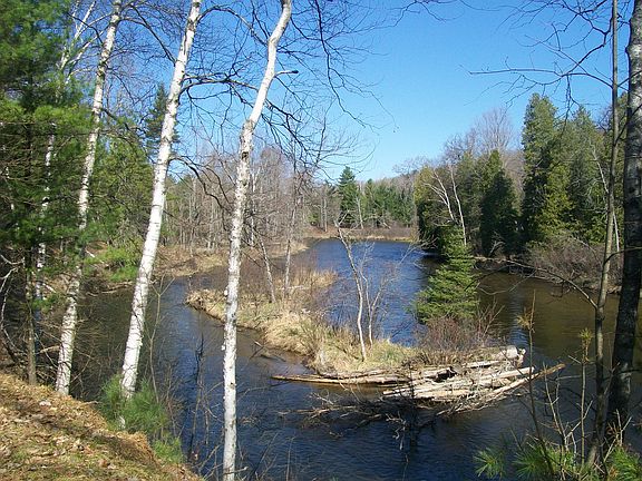 View downriver from bank