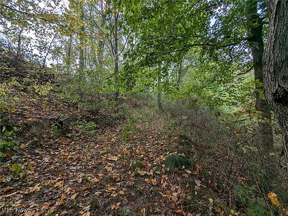 2nd image of 289 Township Rd