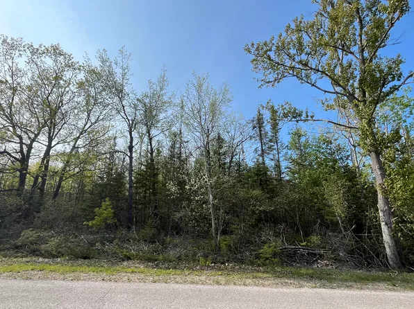 LOT 102 Laurelhill Cir, Presque Isle, MI 49777