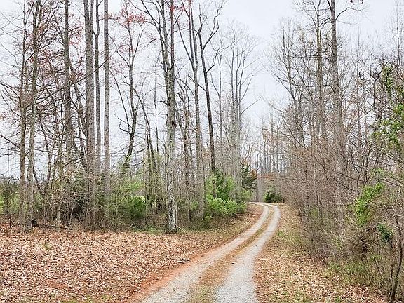 2nd image of 491 Cedar Creek Ln