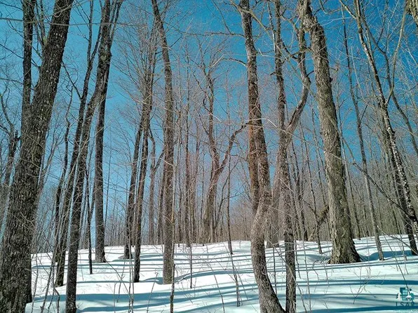 33 Hillside Trl, Lutsen, MN 55612
