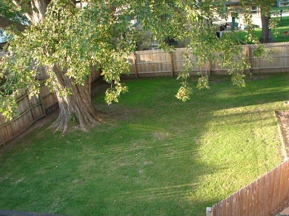 large fenced yard