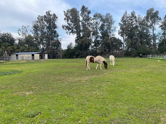 2nd image of 28108 Thornton Rd