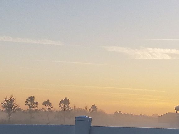 Morning view backyard