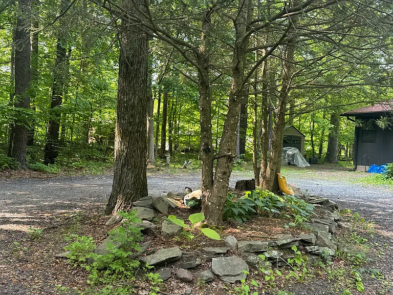 Woodland Dr — Photo 9