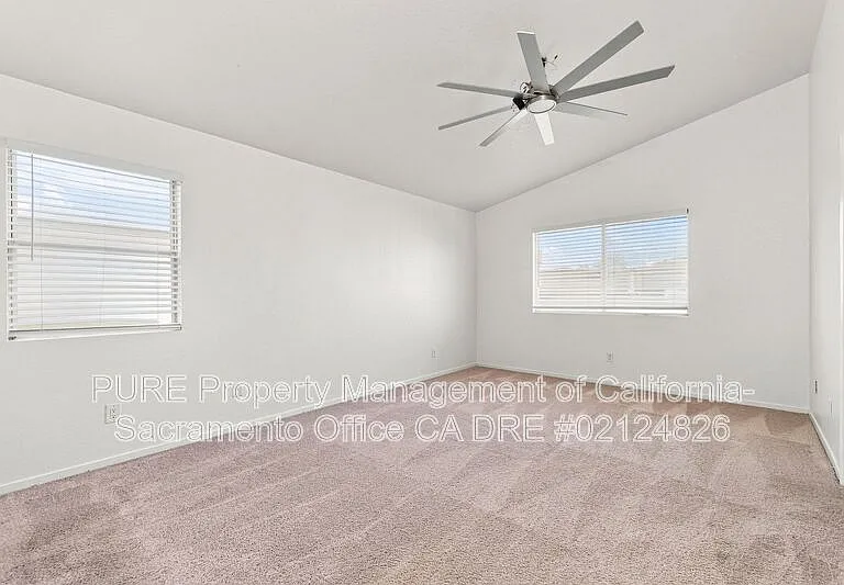 8742 Weeping Birch Ln — Photo 14
