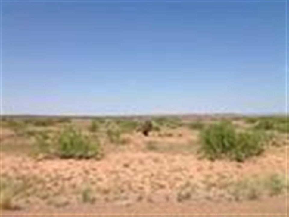 1st image of 32 Ute Dr