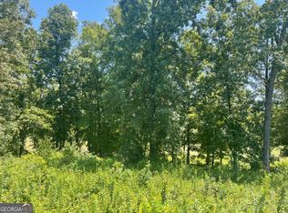 11 Oak Dr, Hawkinsville, GA